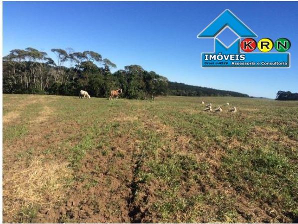 Fazenda - Fazenda a Venda no bairro Área Rural de Ponta Grossa - Ponta Grossa, P... - Foto 17