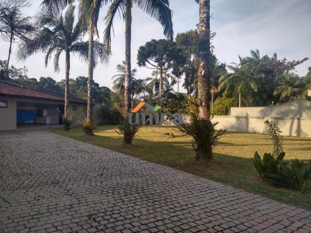 Sobrado joinville