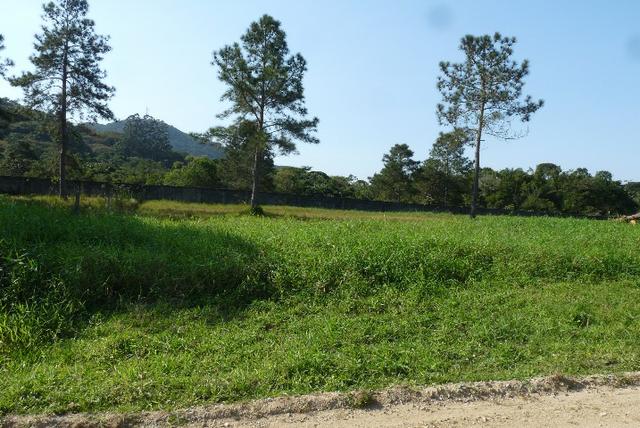 Terreno Maravilhoso na Praia do Estaleiro - Foto 4