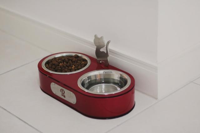 Comedouro para Gatos - Vermelho - Foto 3