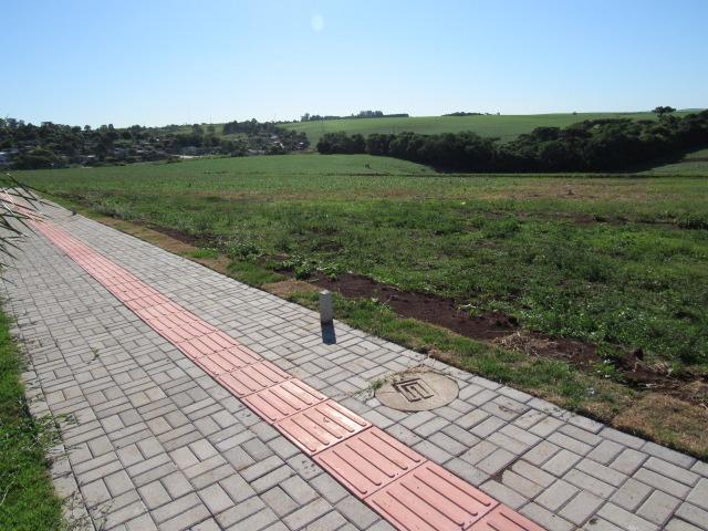 Terreno para Morar Bem - Foto 7