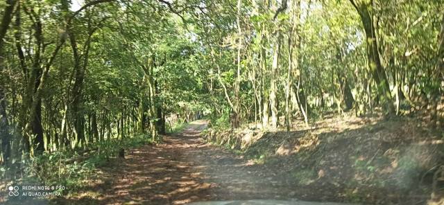 Lugar tranquilo