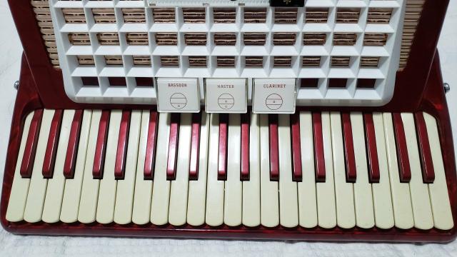 Acordeon - Foto 3