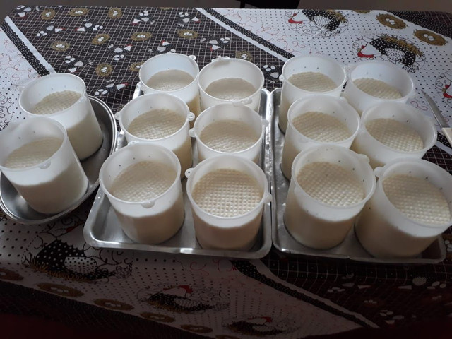 Vendo queijo fresco