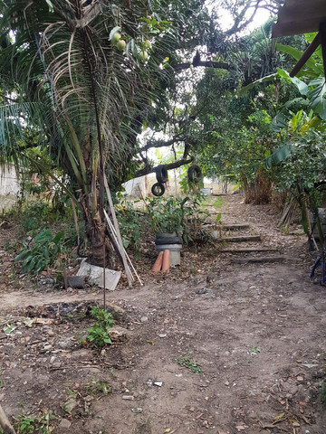 Vendo um terreno com duas casas - Foto 6