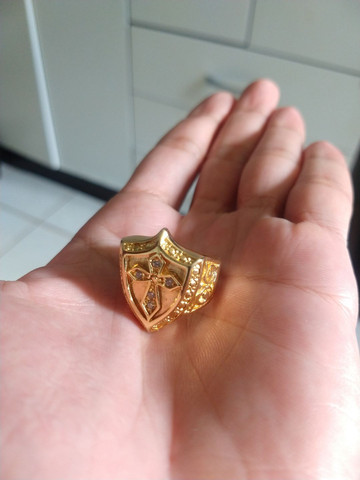 Anel Escudo