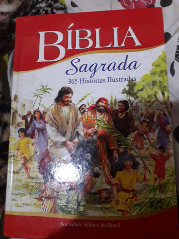 Biblia Sagrada Ilustrada 365 Histórias