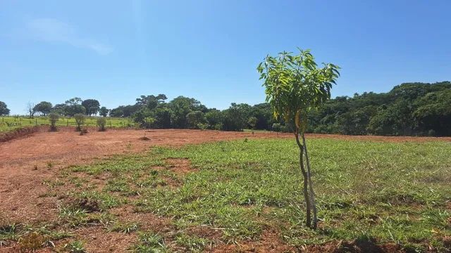Chácara 25 km de Aparecida de Goiânia. - Foto 3