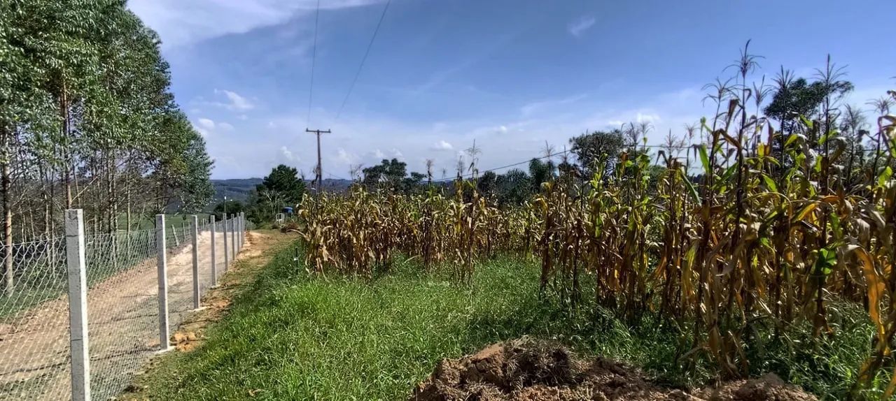 Vendo chácara formada com 2 casas - Foto 4