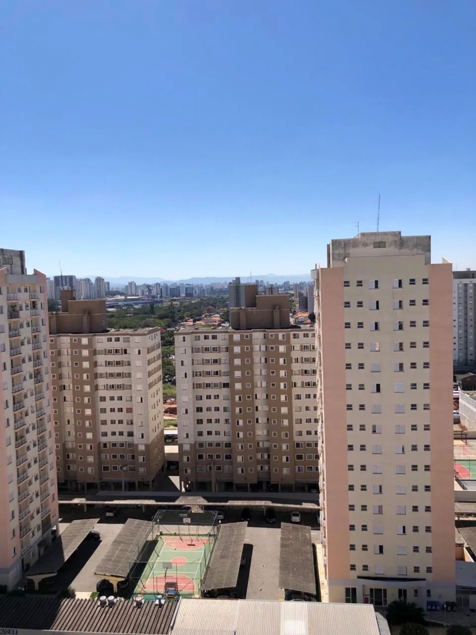 Foto - São José dos Campos - Palmeiras de São José