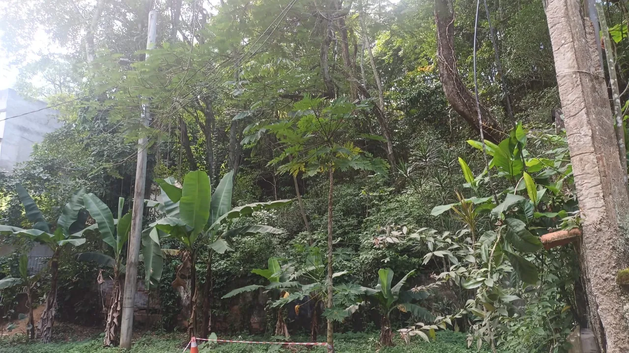 Terreno 930 m2 - São Gonçalo