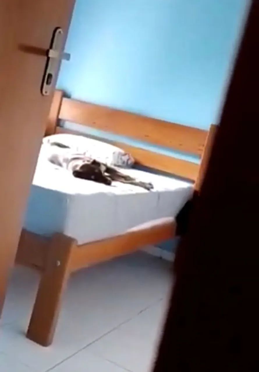 Cama de madeira de casal padrão, sem o estrado/lastro