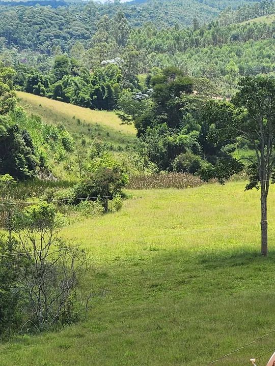 GRANDE OPORTUNIDADE Linda fazenda localizada na serra do município de Merces - Foto 3