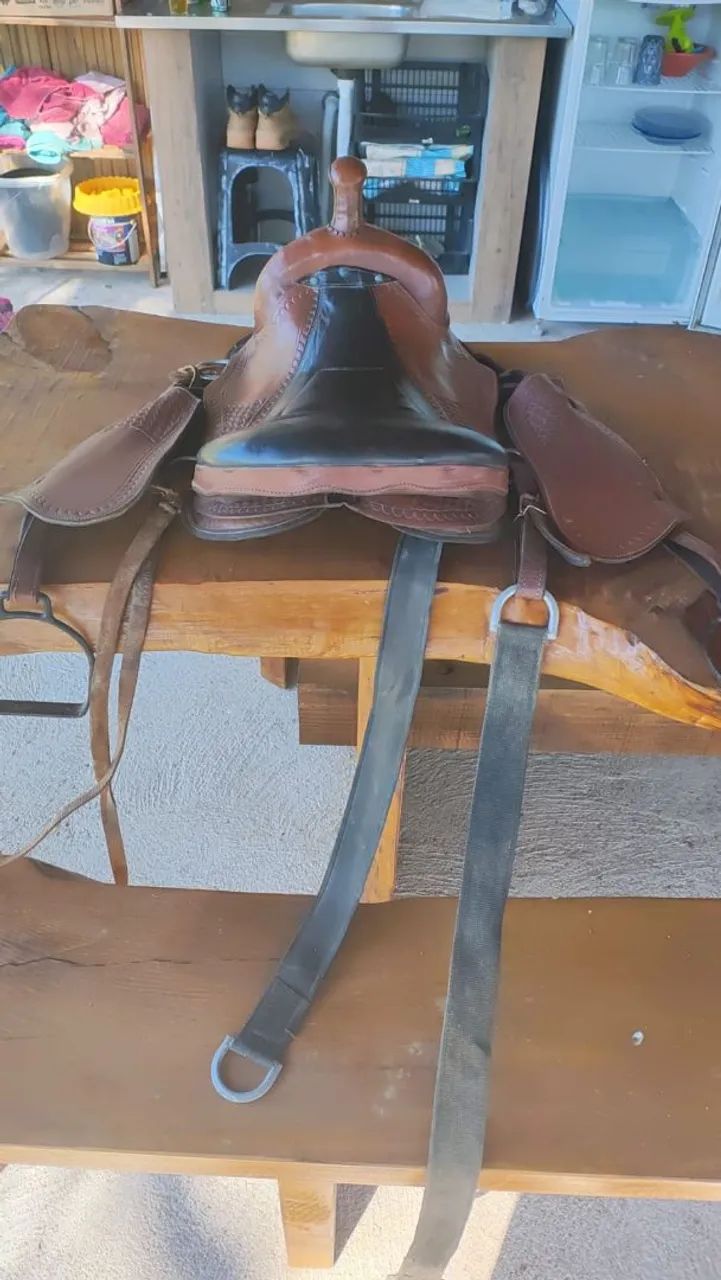 Cela cavalo  - Foto 4