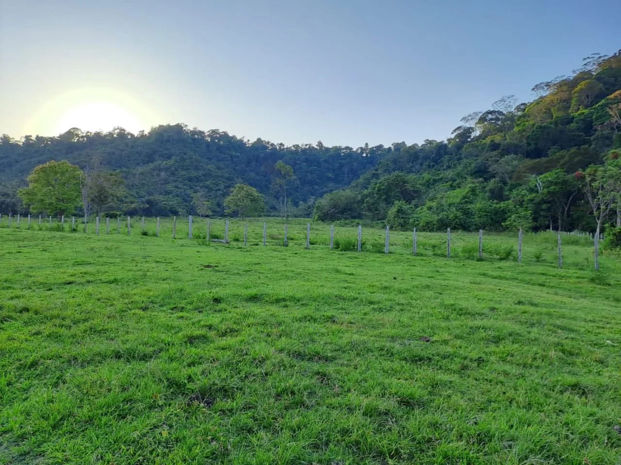 Fazenda para venda tem 3.000 Hectares, com búfalos, gado e trator em Santarém.PA - Foto 4