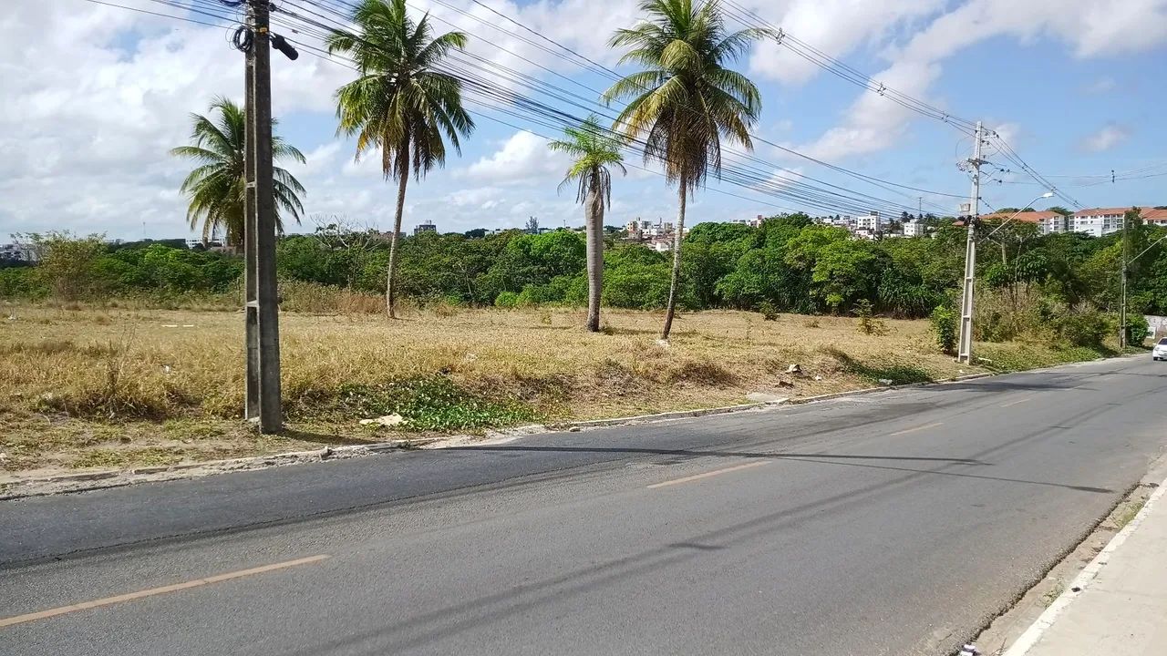 Terreno comercial Geisel  - Foto 5