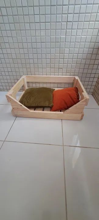 Caminha Pet em Pinus - Foto 3