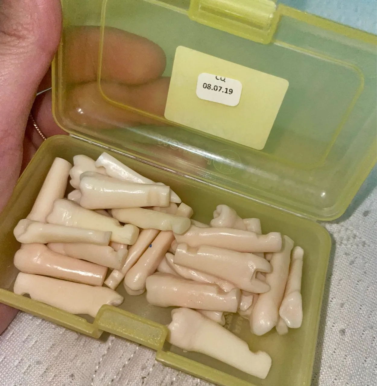 Manequim Dentistica + Dentes Artificiais