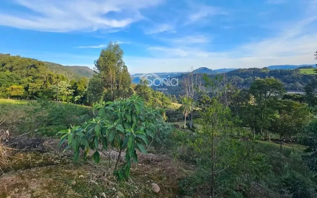 2 hectares com vista privilegiada  - Foto 3