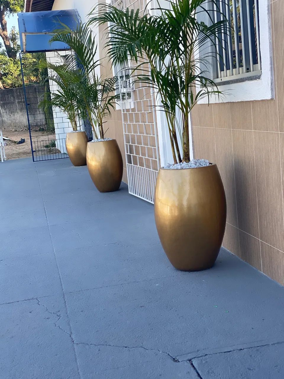 Vasos decorativos 