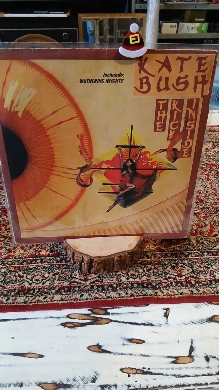 Suporte para disco de vinil - Foto 4