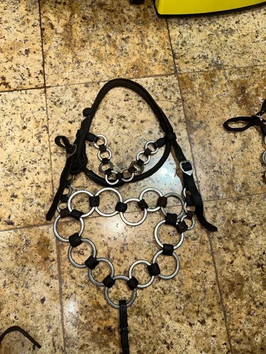 Traía de frente completa  - Foto 2