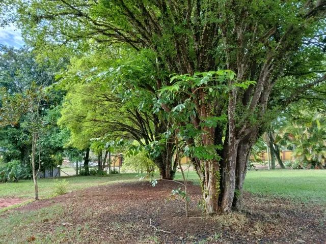 Foto - Itatiba - Parque São Gabriel