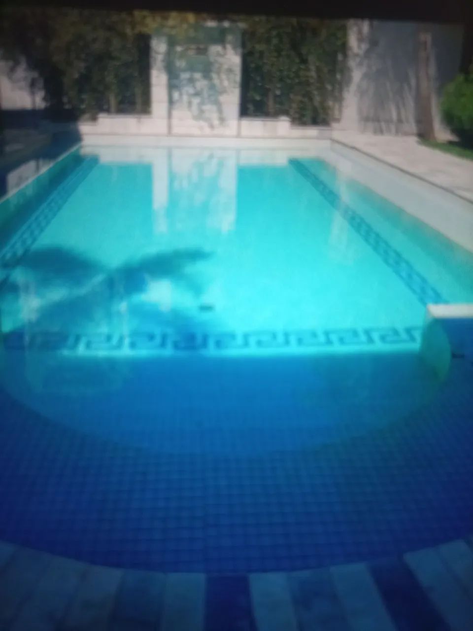 Piscineiro  - Foto 3