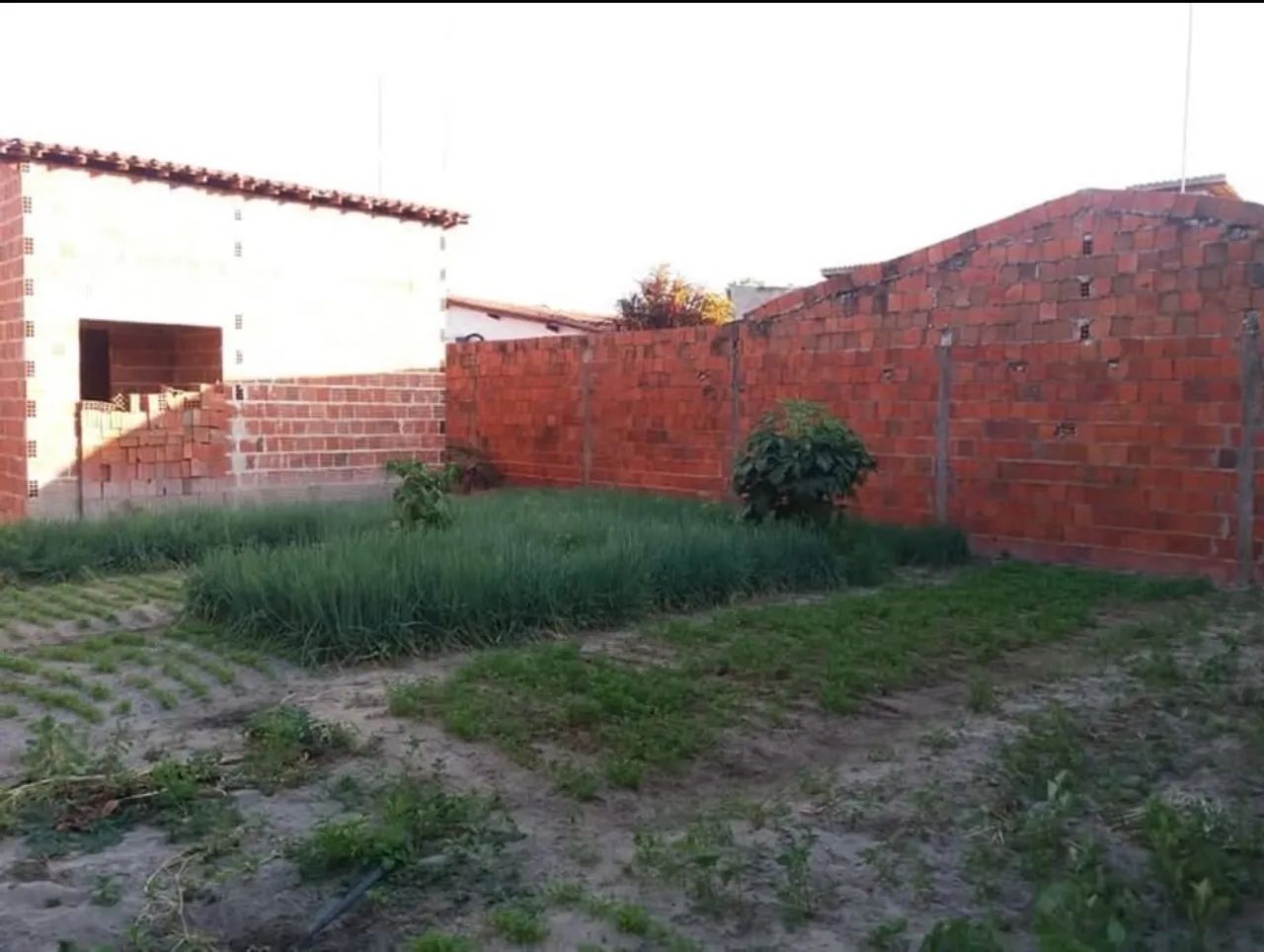 Terreno 7 por 27  - Foto 5