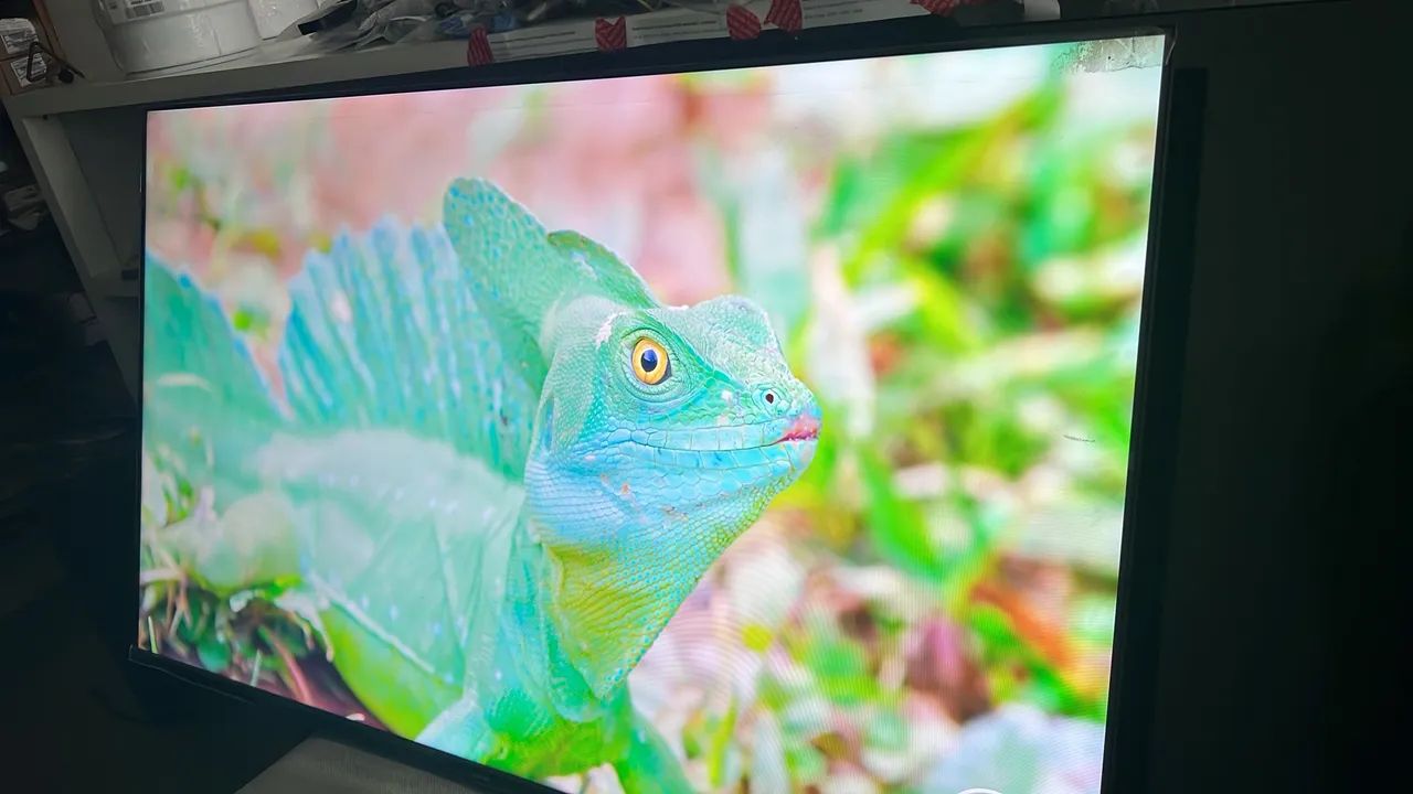 Televisão  - Foto 3