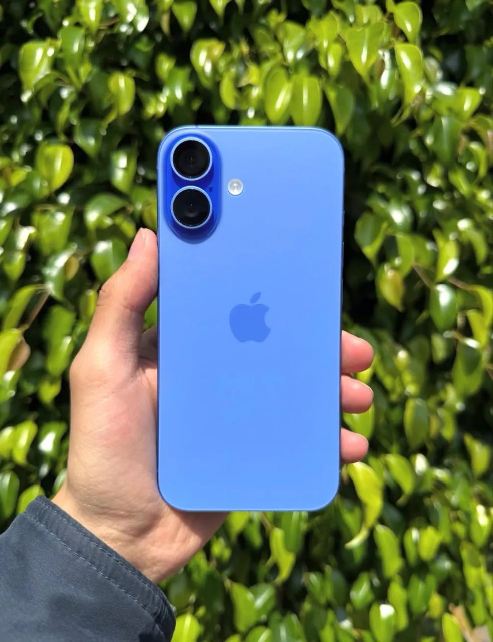 IPhone 16 Plus 128Gb azul 