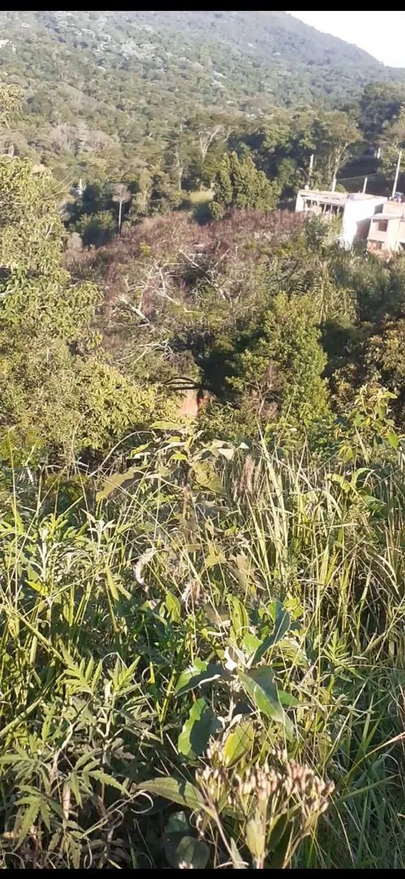 Foto - Santana de Parnaíba - Parque Sinai