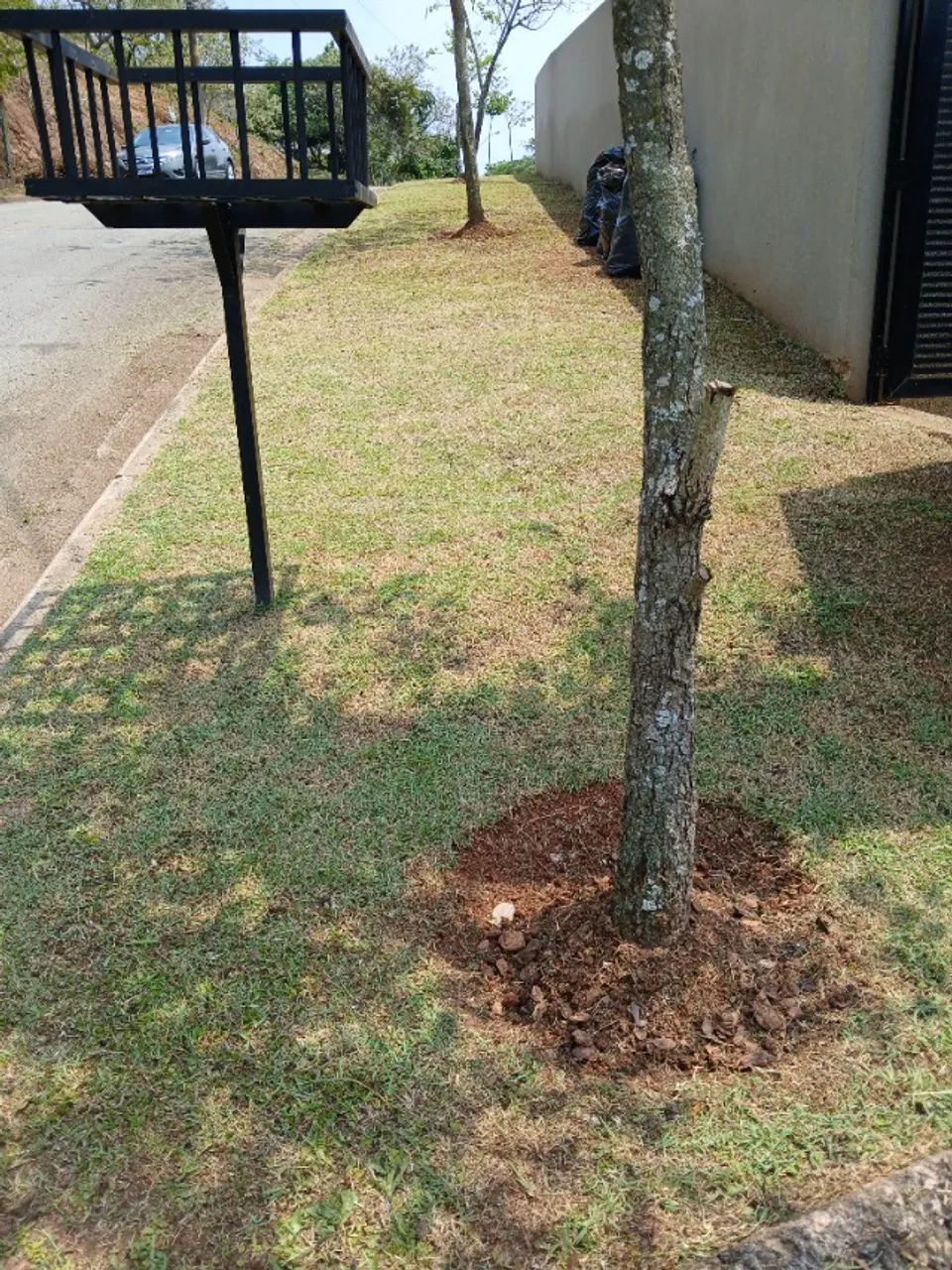 Manutenção em geral de chácara  - Foto 4