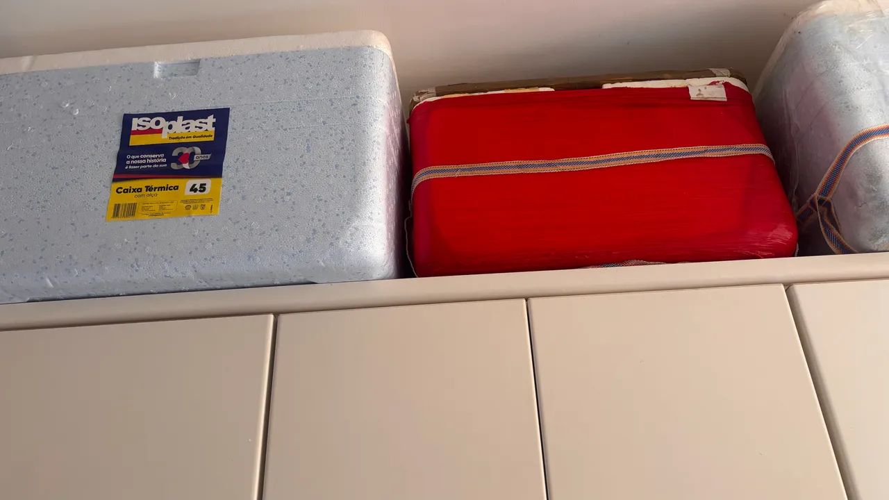 Peixe CAIXA TERMICA Isopor ou Isopores varios lts CADA - Foto 6
