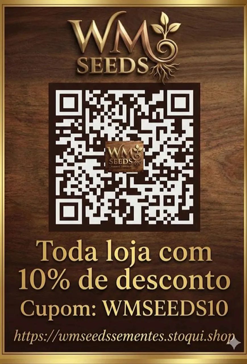 WM SEEDS Sementes Premium diferenciadas - Foto 4