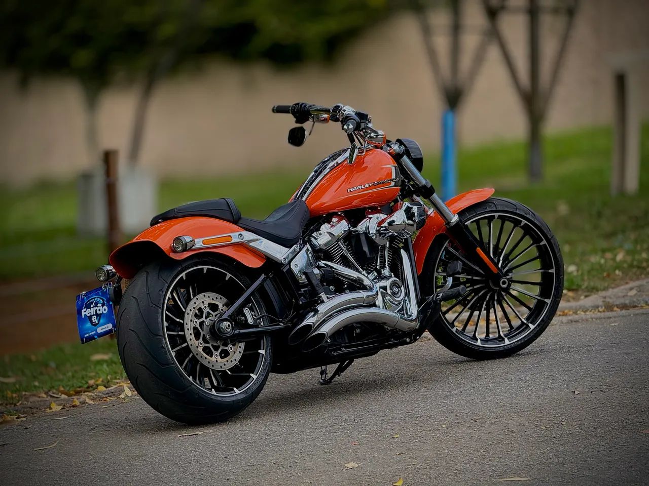 HARLEY DAVIDSON BREAKOUT 2023 117 - Foto 5