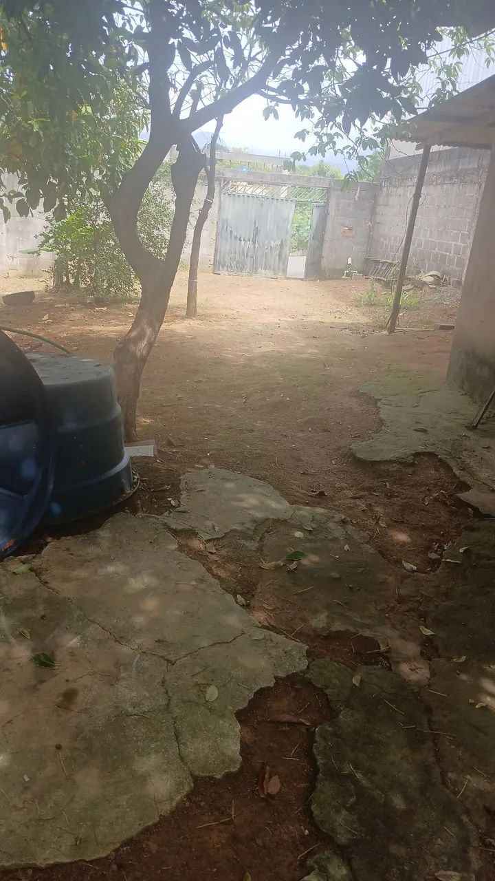 Lote grande  com plantas  1 cômodo lateral - Foto 4