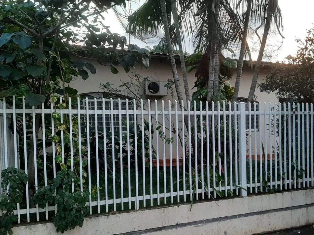 Foto - Londrina - Cafezal