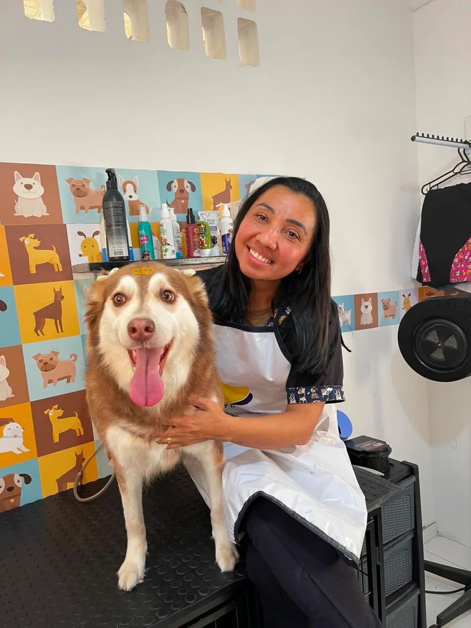 Banho e tosa no Tatuquara - Foto 5