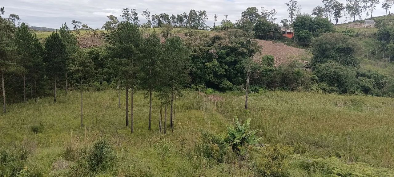 Ótimo terreno para formar chácara 2500m2 - Foto 3