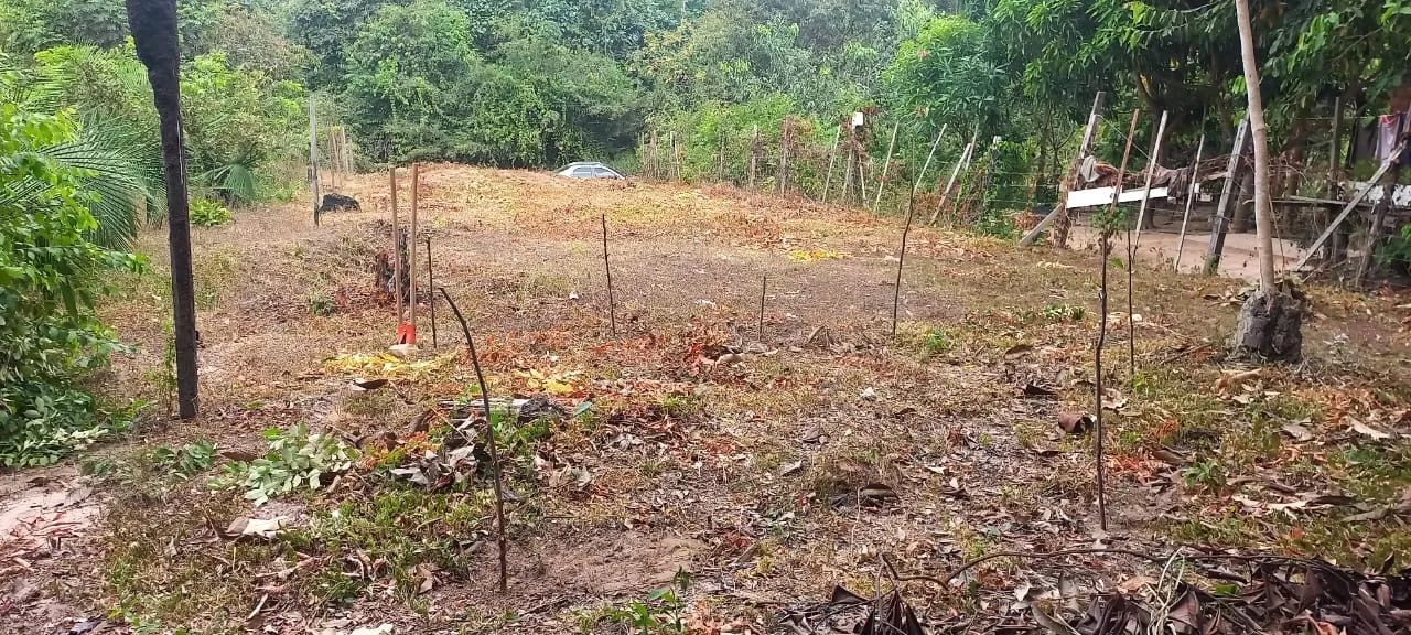 Vendo ou troco terreno  - Foto 3