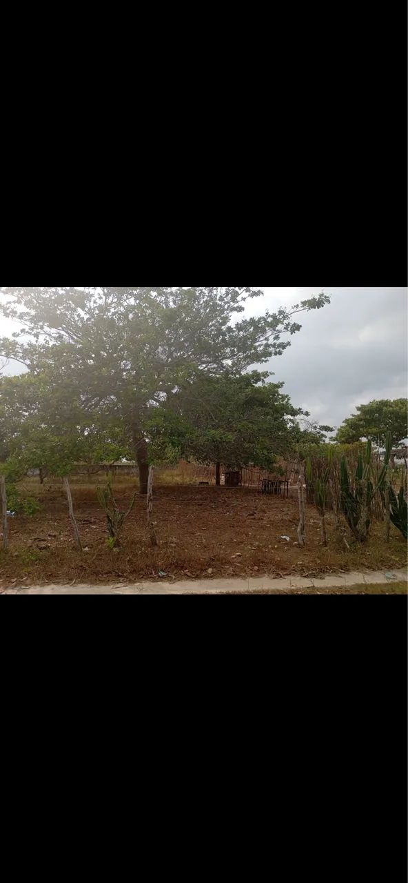 Foto - Paraipaba - 