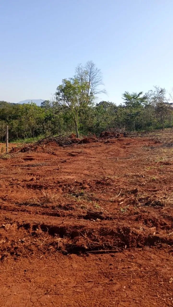 Chacaras rurais em mateus leme  - Foto 4