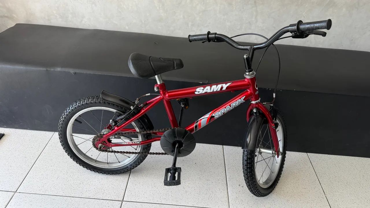 Bicicleta aro 16 já com os aro alumínio e com raios 