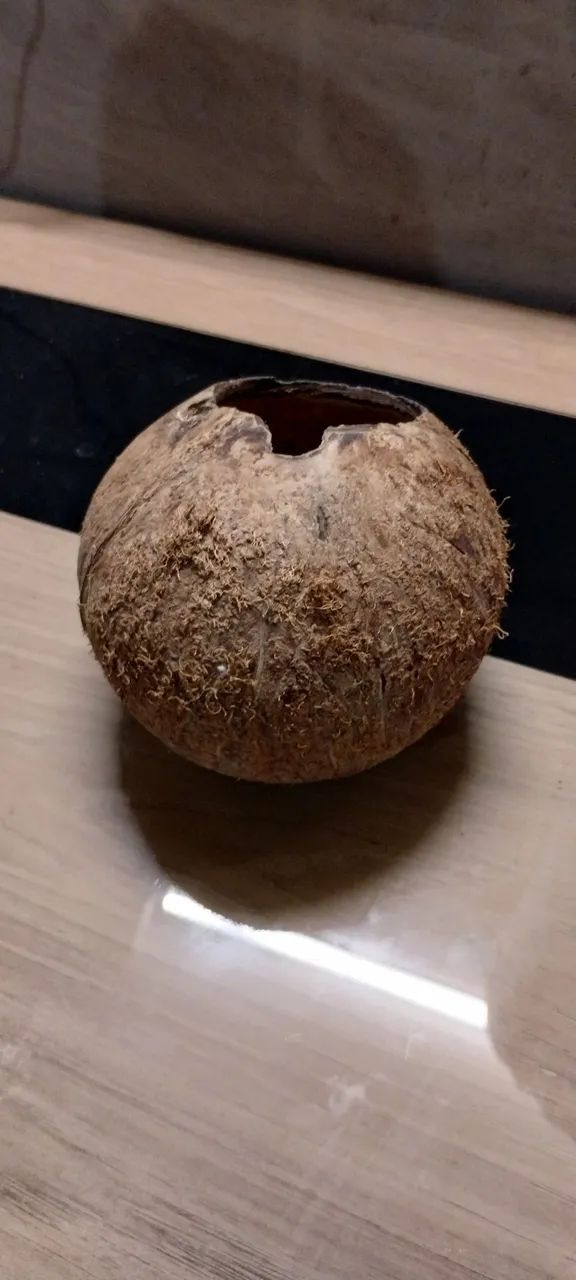 Casinha de côco para Hamster  - Foto 4