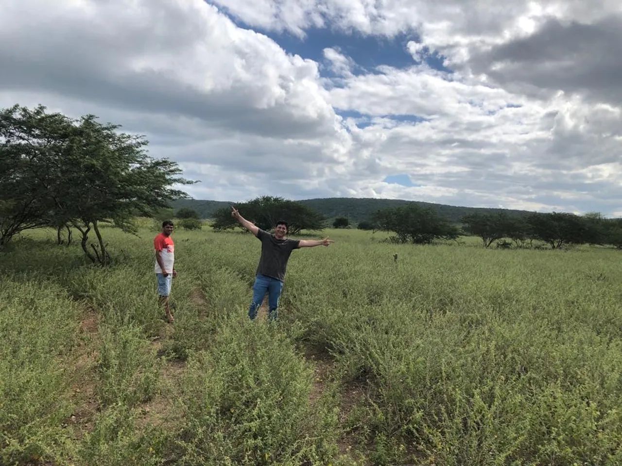 Sítio 19 hectares em Solânea 
