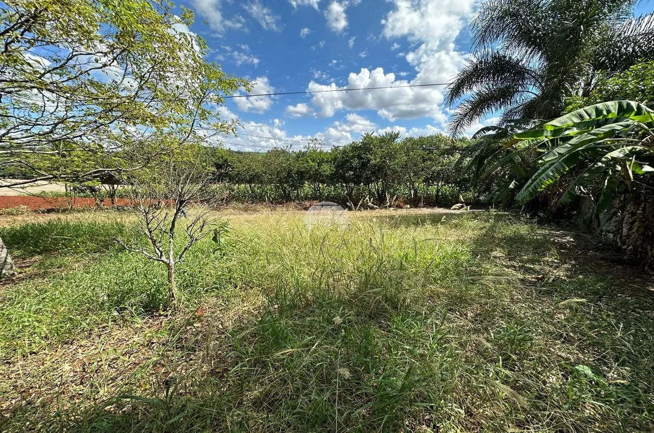 Vendas Terreno Pato Branco PR - Foto 3