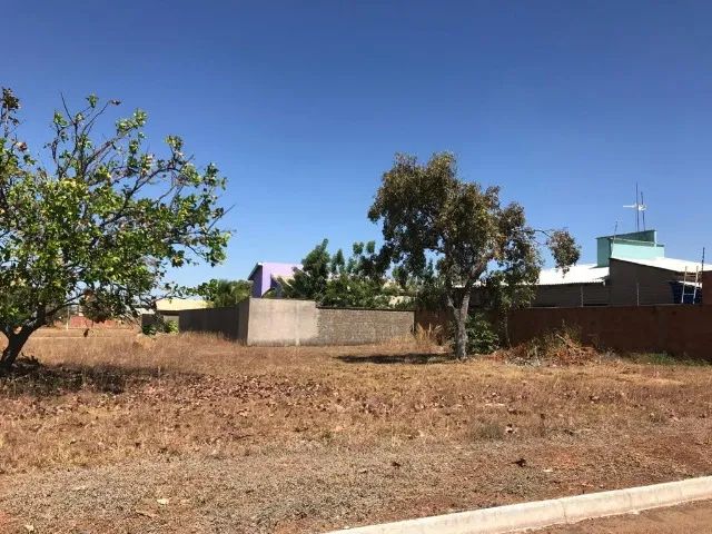 2 Lotes Planos em Luzimangues - 324 m² | Prontos p/ Construir - Foto 5