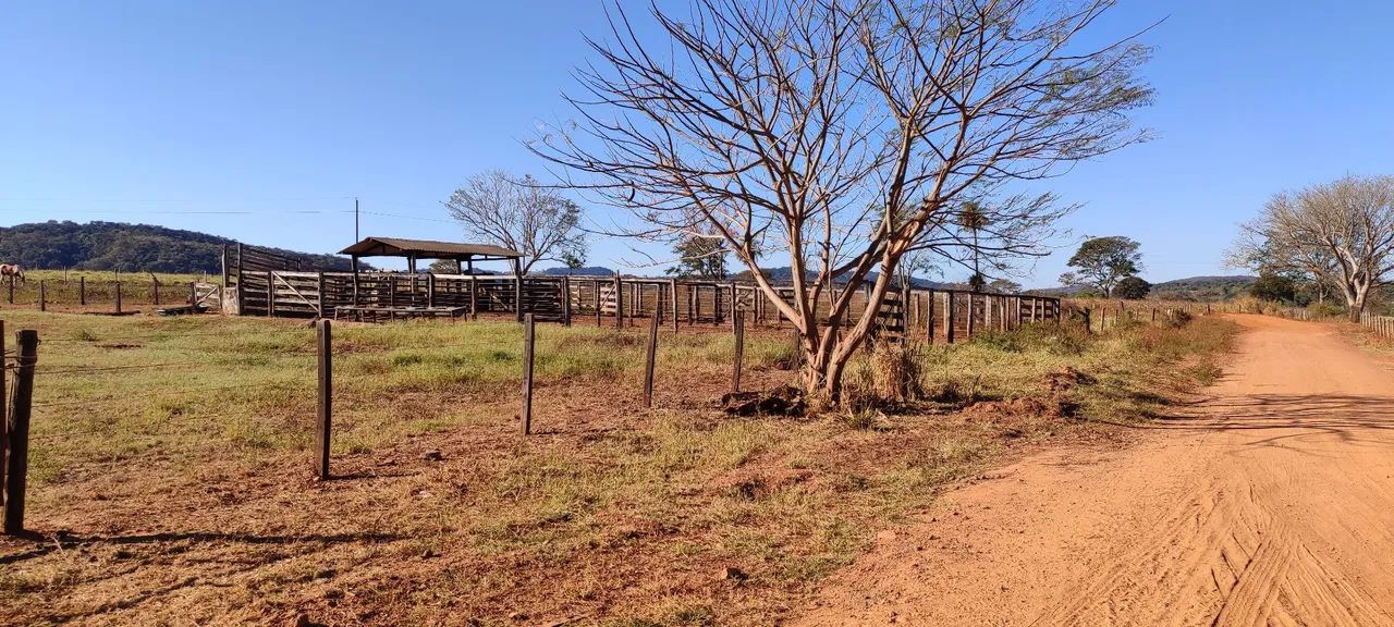 Fazenda em Cezarina  - Foto 2