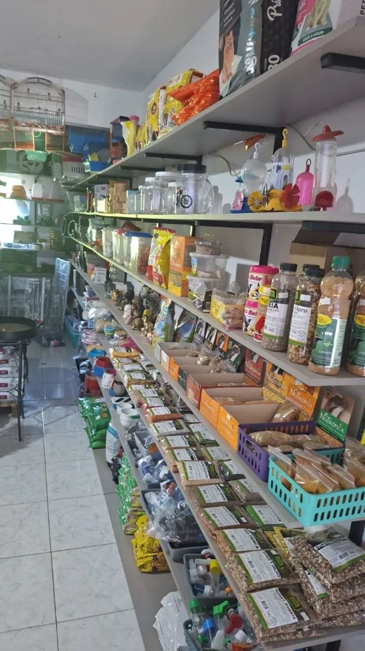 Passo ponto  - Foto 4